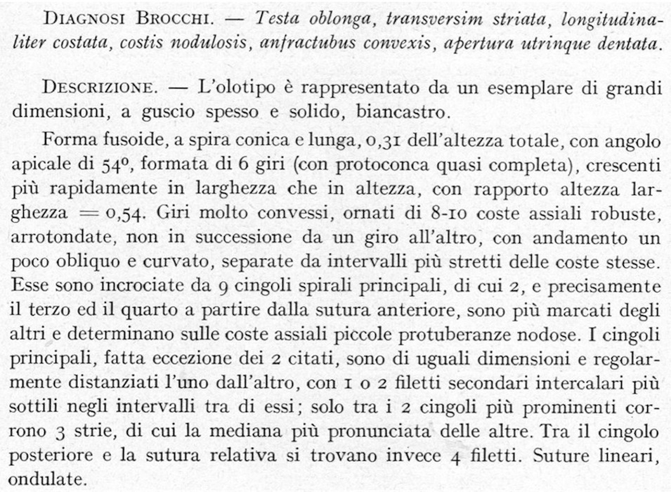 gasteropode problematico